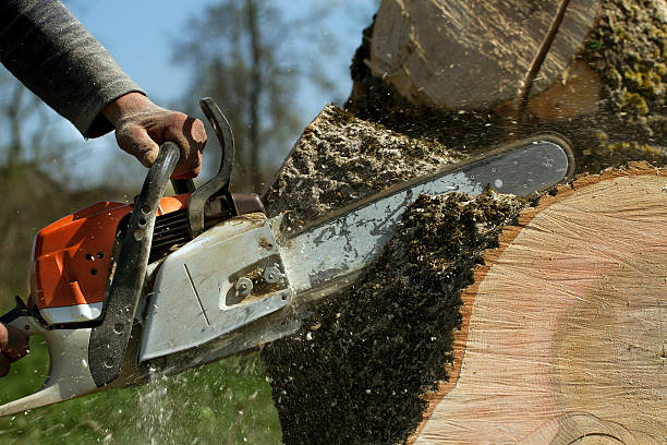 Lawn Grading and Leveling in Boaz, AL